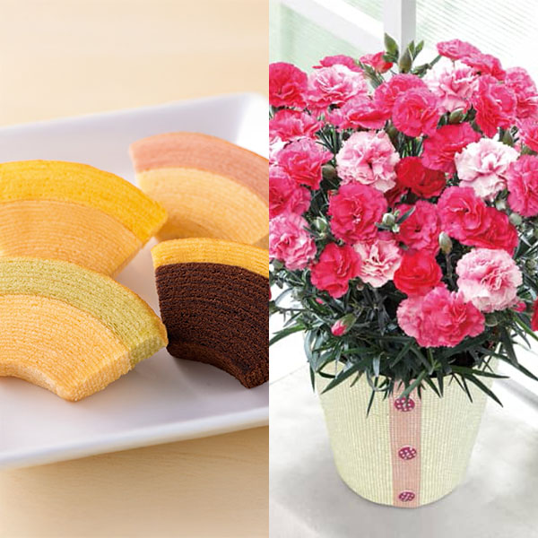 銀座千疋屋 銀座フルーツクーヘンとカーネーション(さくらもなか)【母の日】 商品画像1
