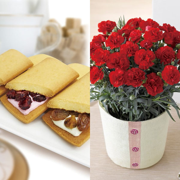 銀座千疋屋 銀座フルーツサンドとカーネーション(感謝の気持ち)【母の日】 商品画像1