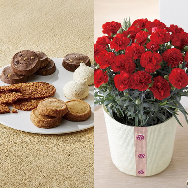 帝国ホテル クッキー詰合せとカーネーション(赤)【母の日】 商品画像1