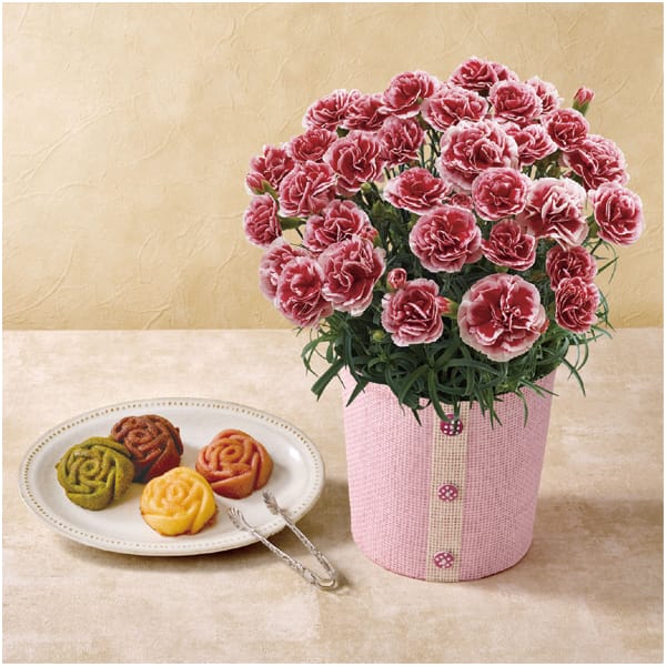 パティスリー モンシェール エタニティーローズとカーネーション(いちごホイップ)【母の日】 商品画像1