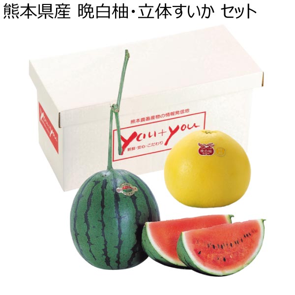 熊本県産 晩白柚・立体すいか セット (お届け期間：12/3〜12/31)【冬ギフト・お歳暮】　商品画像1