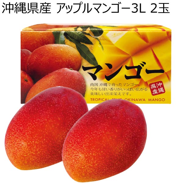 沖縄県産 アップルマンゴー3L 2玉 (お届け期間：6/21〜8/11)【夏ギフト・お中元】　商品画像1