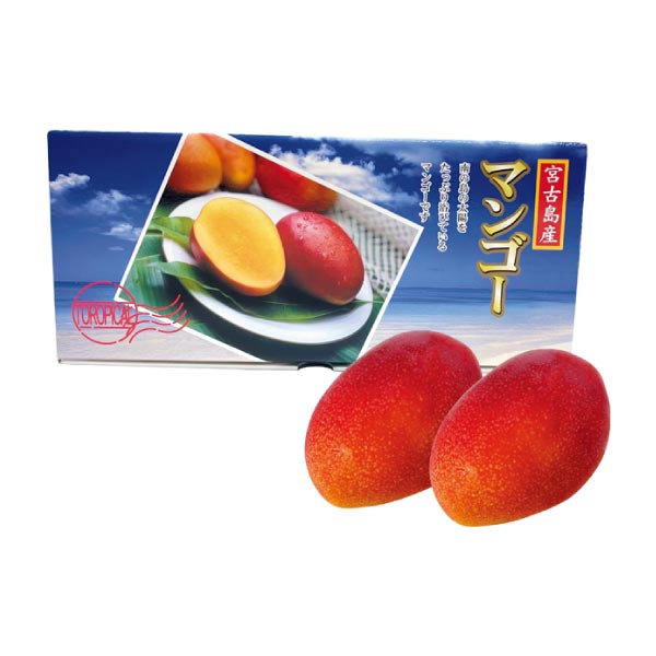沖縄県産(宮古島) アップルマンゴー(お届け期間:6/16〜7/30)【夏の贈りもの・お中元】 果物・野菜【季節の贈り物&ご褒美ギフト】 沖縄県産(宮古島) アップルマンゴー(お届け期間:6/16〜7/30)【夏の贈りもの・お中元】 果物・野菜【季節の贈り物&ご褒美ギフト】