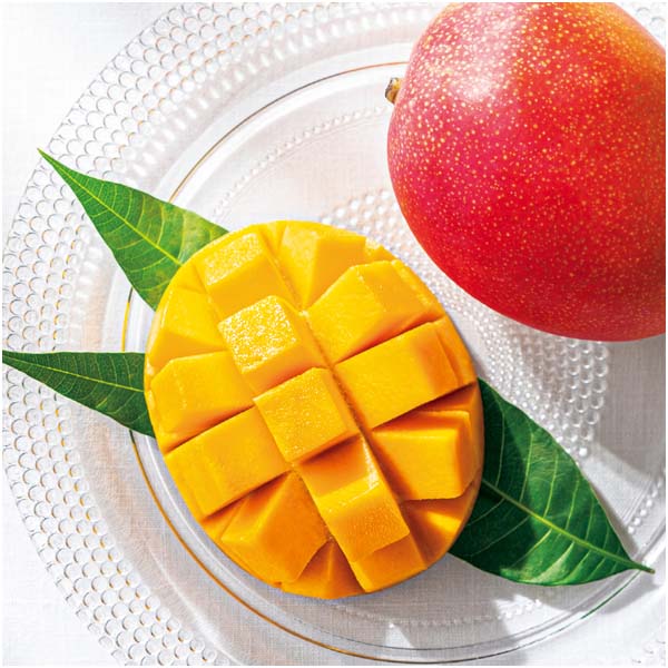 沖縄県産 プレミアムアップルマンゴー(お届け期間:6/16〜7/30)【夏の贈りもの・お中元】 果物・野菜【季節の贈り物&ご褒美ギフト】 沖縄県産 プレミアムアップルマンゴー(お届け期間:6/16〜7/30)【夏の贈りもの・お中元】 果物・野菜【季節の贈り物&ご褒美ギフト】