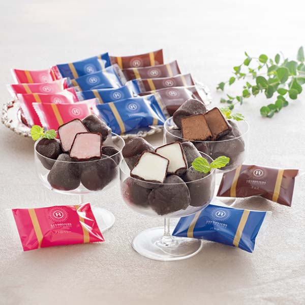 銀座京橋 レ ロジェ エギュスキロール ショコラアイスボール【夏の贈りもの・お中元】[AH-RSB]　商品画像1