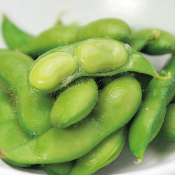山形県産(鶴岡市) 農家の家宝、レンジで食べる「茶豆」(お届け期間:7/7〜8/15)【夏の贈りもの・お中元】 果物・野菜【季節の贈り物&ご褒美ギフト】 山形県産(鶴岡市) 農家の家宝、レンジで食べる「茶豆」(お届け期間:7/7〜8/15)【夏の贈りもの・お中元】 果物・野菜【季節の贈り物&ご褒美ギフト】