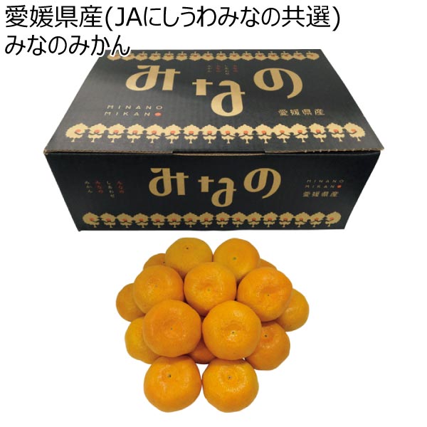 愛媛県産(JAにしうわみなの共選) みなのみかん (お届け期間：11/21〜12/30)【冬ギフト・お歳暮】　商品画像1