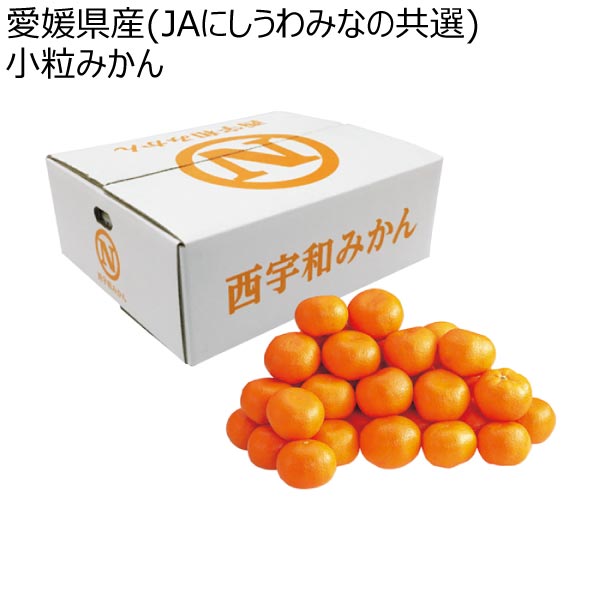 愛媛県産(JAにしうわみなの共選) 小粒みかん (お届け期間：11/21〜12/30)【冬ギフト・お歳暮】　商品画像1