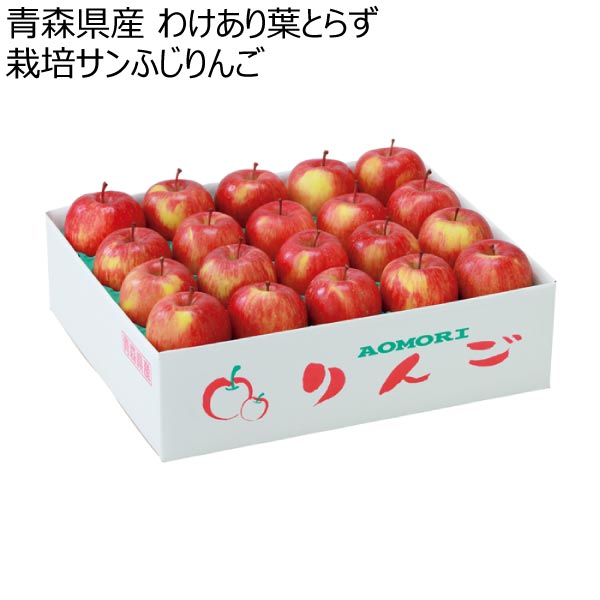 青森県産 わけあり葉とらず栽培サンふじりんご (お届け期間：12/1〜12/28)【冬ギフト・お歳暮】　商品画像1