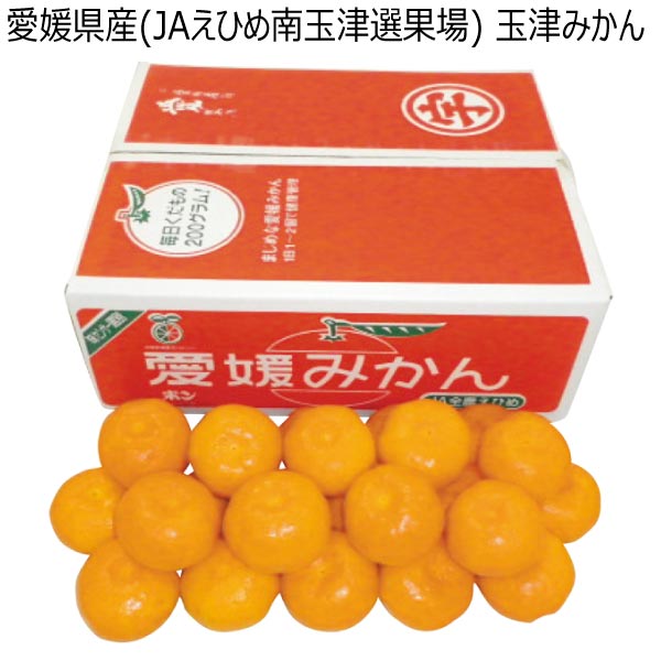 愛媛県産(JAえひめ南玉津選果場) 玉津みかん (お届け期間：11/21〜12/31)【冬ギフト・お歳暮】　商品画像1