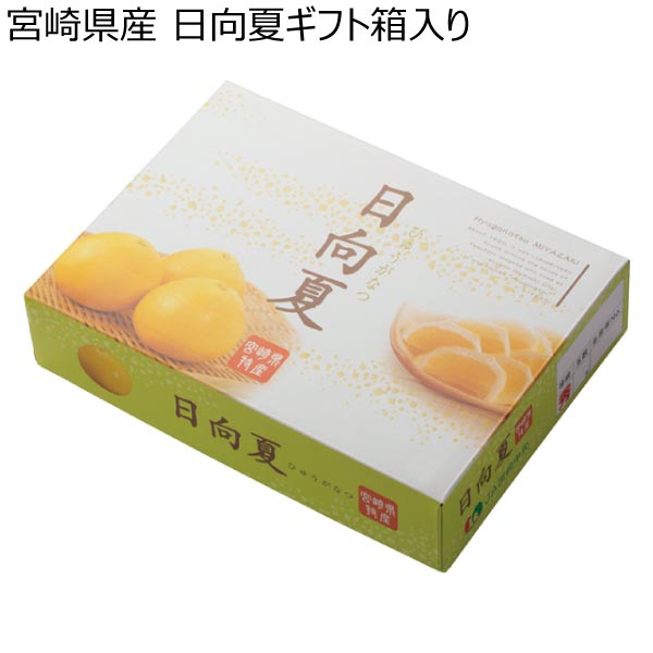 宮崎県産 日向夏ギフト箱入り (お届け期間：11/25〜12/31)【冬ギフト・お歳暮】　商品画像1