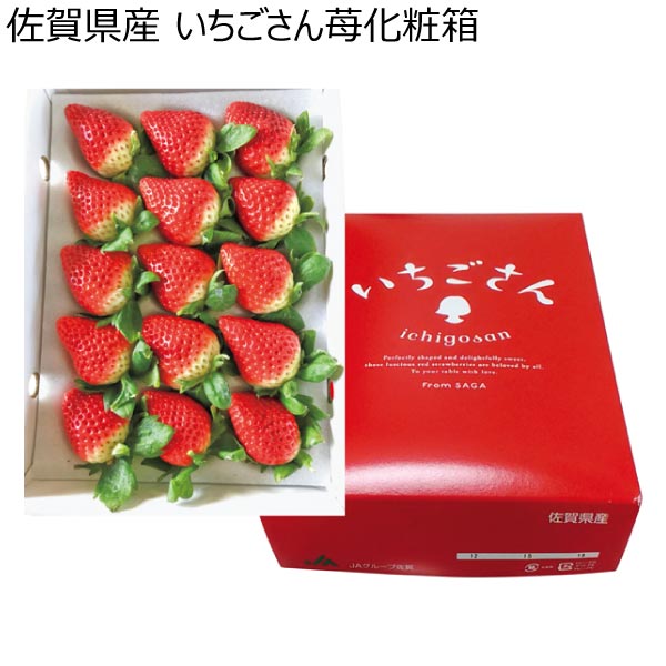 佐賀県産 いちごさん苺化粧箱 (お届け期間：11/25〜12/31)【冬ギフト・お歳暮】　商品画像1