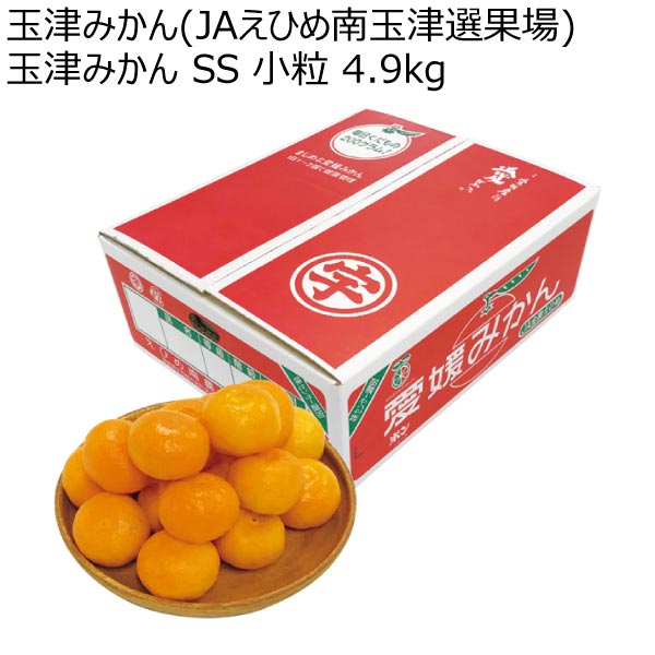 玉津みかん(JAえひめ南玉津選果場) 玉津みかん SS 小粒 4.9kg (お届け期間：11/21〜12/31)【冬ギフト・お歳暮】　商品画像1