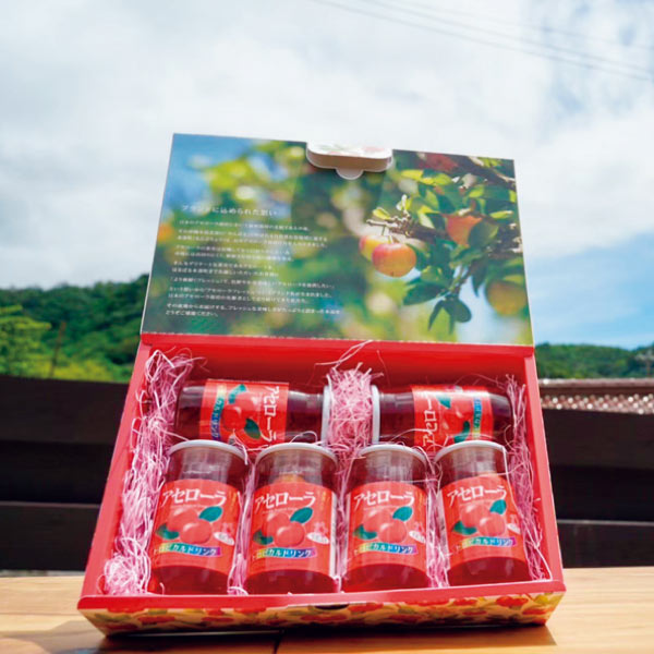 アセローラフレッシュ アセローラ 果実入りドリンクセット【夏の贈りもの・お中元】 飲料・酒【季節の贈り物&ご褒美ギフト】 アセローラフレッシュ アセローラ 果実入りドリンクセット【夏の贈りもの・お中元】 飲料・酒【季節の贈り物&ご褒美ギフト】