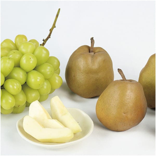 山形県産 シャインマスカットとゴールドラ・フランス(お届け期間：11/11〜12/31)【冬の贈りもの・お歳暮】　商品画像1