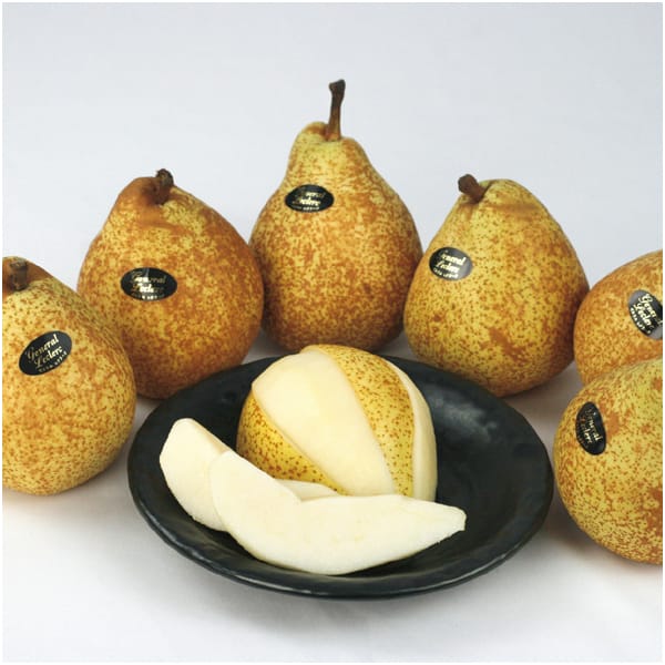 Y(ɒBs) mȂ([lEN[N)(͂ԁF11/21`12/31)y~̑́EΕz ʕE؁yCIIΕz