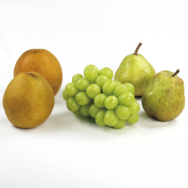 福島県産シャインマスカット、和梨、山形県産洋なし詰合せ(お届け期間：10/26〜12/31)【冬の贈りもの・お歳暮】 果物・野菜【イオン特選お歳暮】