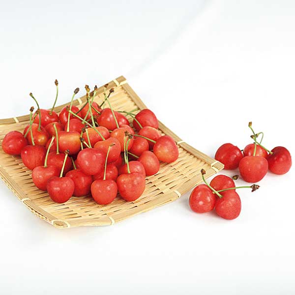 山形県産 さくらんぼ 「佐藤錦」又は「紅秀峰」(お届け期間：6/11〜7/4)【夏の贈りもの・お中元】　商品画像1