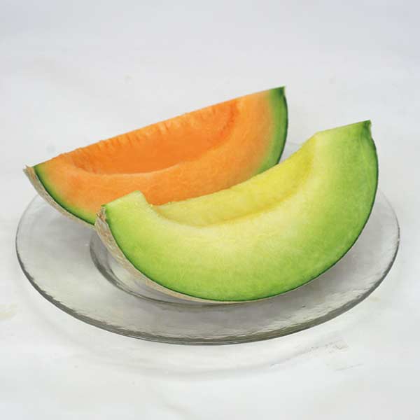 山形県産(酒田市) 庄内砂丘メロンセット「雅」(お届け期間：7/5〜8/10)【夏の贈りもの・お中元】　商品画像1