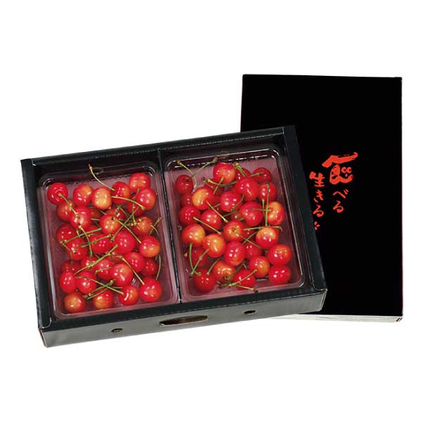 山形県産 さくらんぼ(佐藤錦)(お届け期間：6/11〜6/30)【夏の贈りもの・お中元】　商品画像1