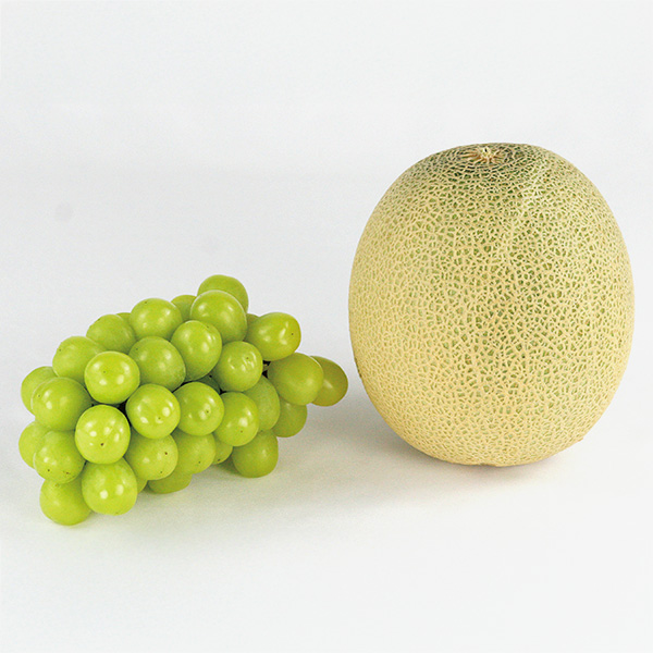 山形県産・福島県産 福島県産シャインマスカットと山形県産青肉メロン(お届け期間：7/17〜8/15)【夏の贈りもの・お中元】　商品画像1