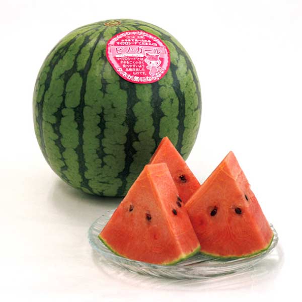 山形県産・福島県産 福島県産シャインマスカットと山形県産赤肉小玉すいか詰合せ(お届け期間：7/17〜8/15)【夏の贈りもの・お中元】　商品画像1