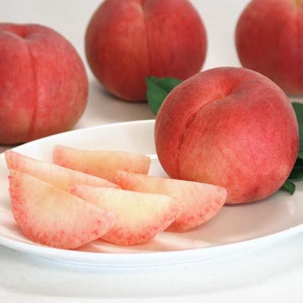 山形県産 山形の真夏桃(白桃)(お届け期間：7/25〜8/15)【夏の贈りもの・お中元】　商品画像1