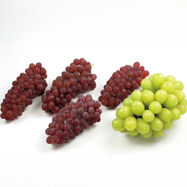 福島県産・山形県産 福島県産シャインマスカットと山形県産デラウェア詰合せ(お届け期間：7/15〜8/15)【夏の贈りもの・お中元】　商品画像1