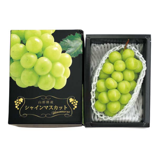 山形県産 シャインマスカット(お届け期間：7/25〜8/15)【夏の贈りもの・お中元】　商品画像1