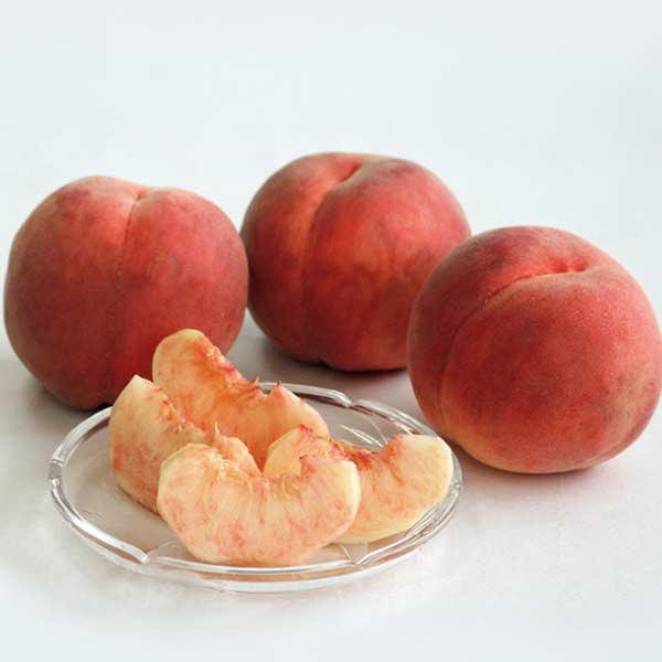 山形県寒河江市産 あかつき桃(お届け期間：7/28〜8/15)【夏の贈りもの・お中元】　商品画像1