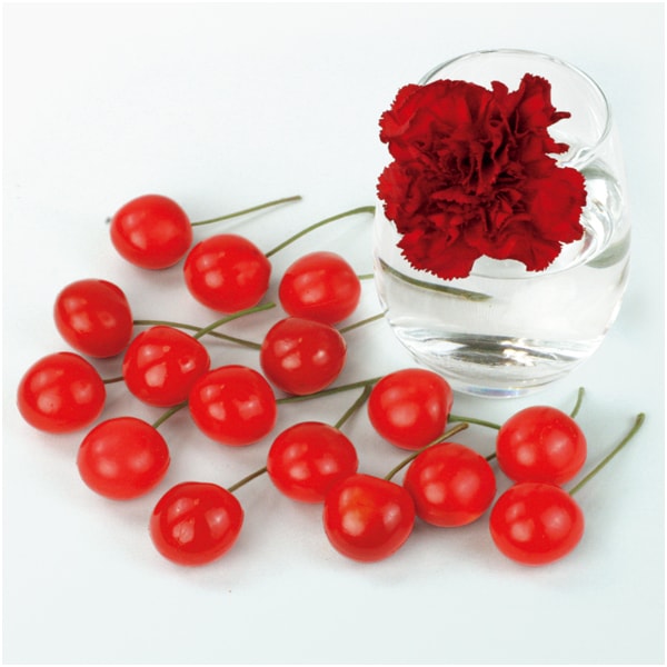 山形県産 さくらんぼ佐藤錦とカーネーション【母の日】　商品画像1