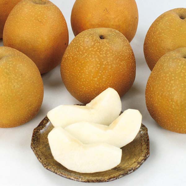 福島県産 初冬の大玉なし「王秋(おうしゅう)」(お届け期間：11/15〜12/31)【冬の贈りもの・お歳暮】　商品画像1