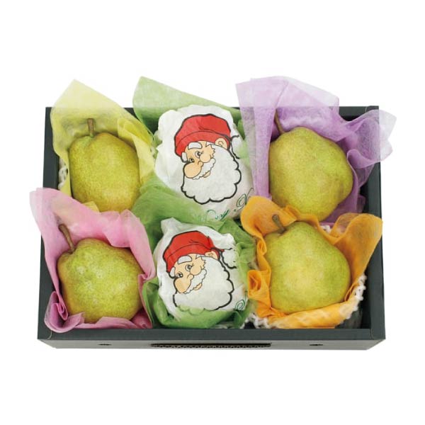 山形県産(上山市) クリスマスの西洋梨(ラ・フランス)(お届け期間：12/15〜12/21)【冬の贈りもの・お歳暮】　商品画像1
