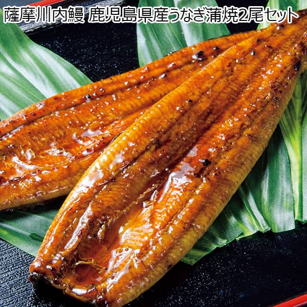 薩摩川内鰻 鹿児島県産うなぎ蒲焼2尾セット【夏ギフト・お中元】　商品画像1