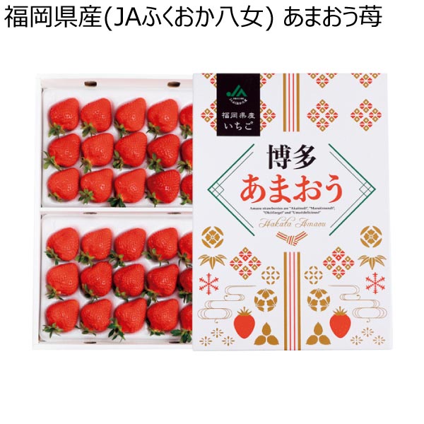 福岡県産(JAふくおか八女) あまおう苺 (お届け期間：12/1〜12/30)【冬ギフト・お歳暮】　商品画像1