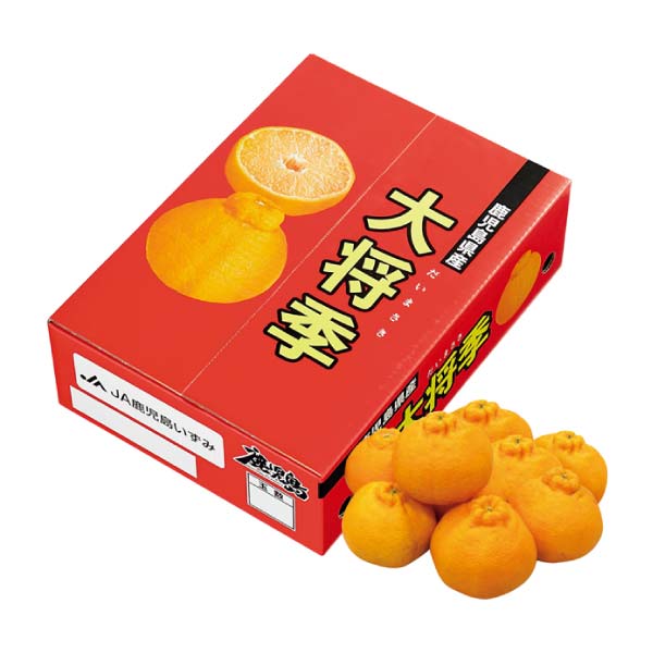鹿児島県産(JA鹿児島いずみ) 大将季(お届け期間:12/5〜12/30)【冬の贈りもの・お歳暮】 果物・野菜【イオン特選お歳暮】 鹿児島県産(JA鹿児島いずみ) 大将季(お届け期間:12/5〜12/30)【冬の贈りもの・お歳暮】 果物・野菜【イオン特選お歳暮】