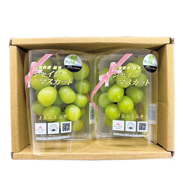 山梨県産(JAふえふき) ふえふきのハウスシャインマスカット(お届け期間：7/11〜8/15)【夏の贈りもの・お中元】　商品画像1