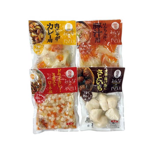 JA全農青果センター みんなのやさい(人気パック)(お届け期間:10/26〜12/30)【冬の贈りもの・お歳暮】 商品画像1