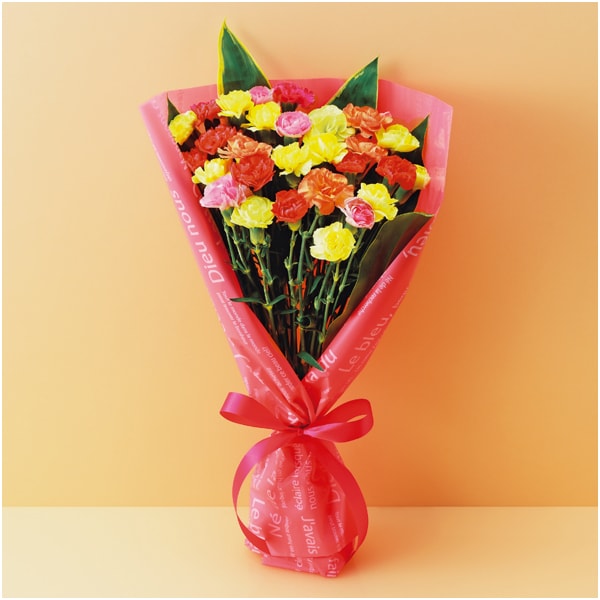 竹中庭園緑化 彩りカーネーションブーケ【母の日】 商品画像1