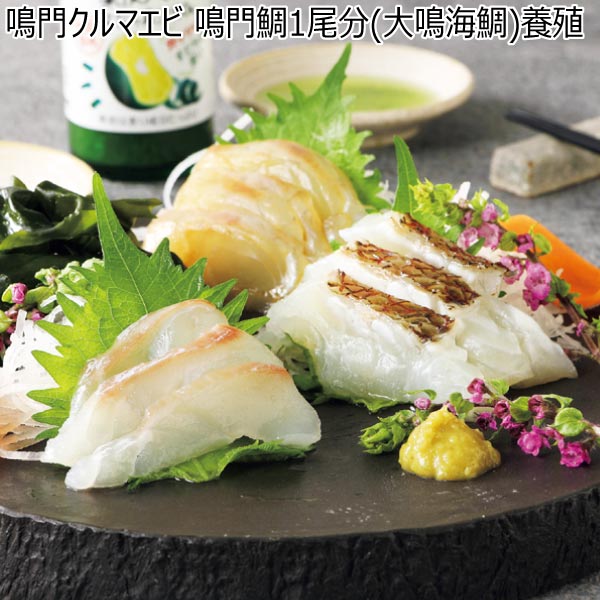 鳴門クルマエビ 鳴門鯛1尾分(大鳴海鯛)養殖【冬ギフト・お歳暮】　商品画像1