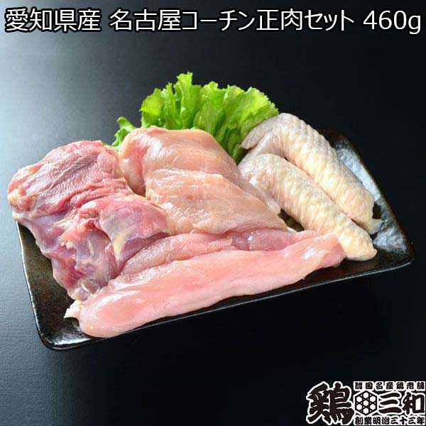 愛知県産 名古屋コーチン正肉セット 460g【おいしいお取り寄せ】　商品画像1