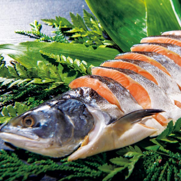 海洋 MSC認証 ロシア産塩紅鮭切身(甘塩味)【夏の贈りもの・お中元】 魚介・海産物【季節の贈り物&ご褒美ギフト】 海洋 MSC認証 ロシア産塩紅鮭切身(甘塩味)【夏の贈りもの・お中元】 魚介・海産物【季節の贈り物&ご褒美ギフト】