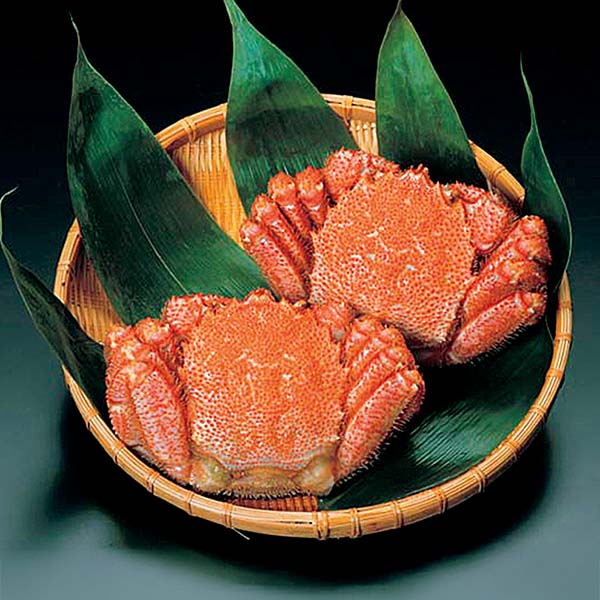 北海道オホーツク海産 ボイル毛がに 大2尾【冬の贈りもの・お歳暮】[1995] 魚介・海産物【イオン特選お歳暮】