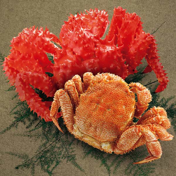 北海道産 北海道産2種のかに食べくらべ(毛がに、花咲がに)【夏の贈りもの・お中元】　商品画像1