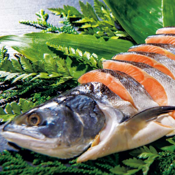 しだや MSC認証 ロシア産塩紅鮭切身(甘塩味)【冬の贈りもの・お歳暮】 魚介・海産物【イオン特選お歳暮】 しだや MSC認証 ロシア産塩紅鮭切身(甘塩味)【冬の贈りもの・お歳暮】 魚介・海産物【イオン特選お歳暮】