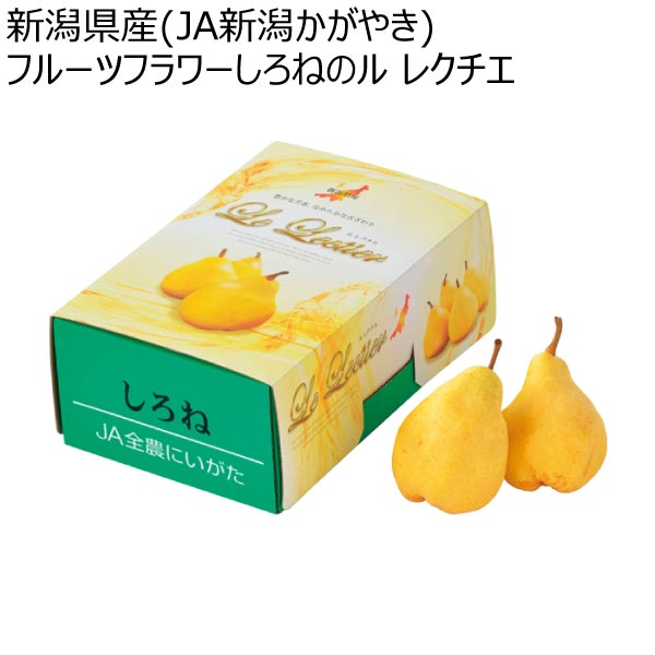 新潟県産(JA新潟かがやき) フルーツフラワーしろねのル レクチエ (お届け期間：11/21〜12/30)【冬ギフト・お歳暮】　商品画像1