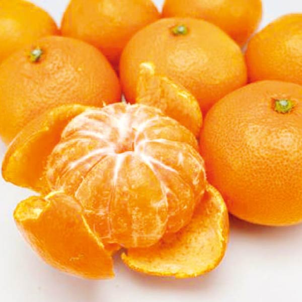 和歌山県産(JAわかやま) ゆら早生プレミアム小玉みかん3kg(お届け期間：11/11〜11/30)【冬の贈りもの・お歳暮】　商品画像1