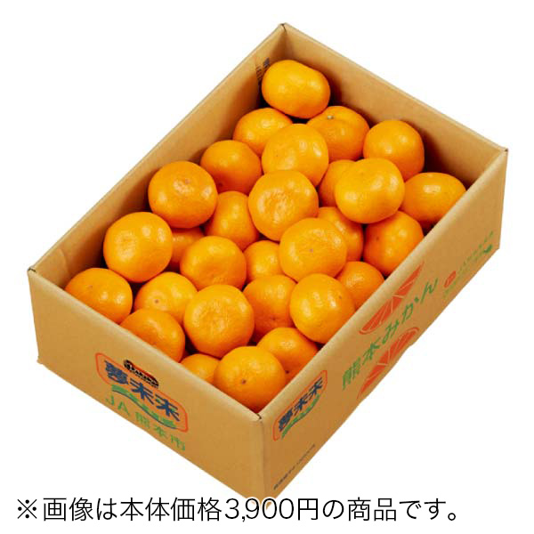 熊本県産 夢未来みかん(お届け期間：11/25〜12/31)【冬の贈りもの・お歳暮】　商品画像1