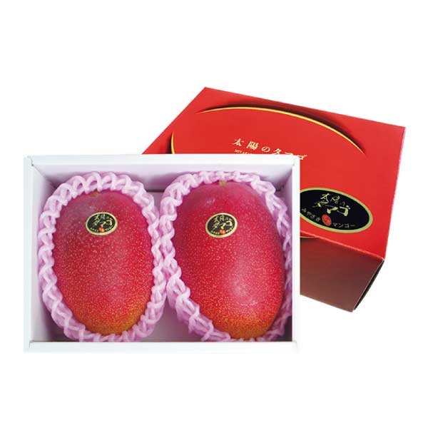 宮崎県産(こばやし地区本部) 太陽のタマゴ(お届け期間：6/11〜7/10)【夏の贈りもの・お中元】　商品画像1