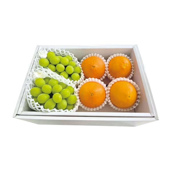 長野県産・愛媛県産 シャインマスカット＆紅まどんな(お届け期間：11/21〜12/28)【冬の贈りもの・お歳暮】　商品画像1